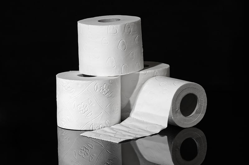 Craft from Paper Rolls
