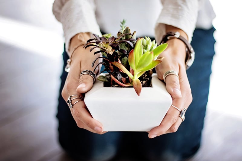 Planters from Cans